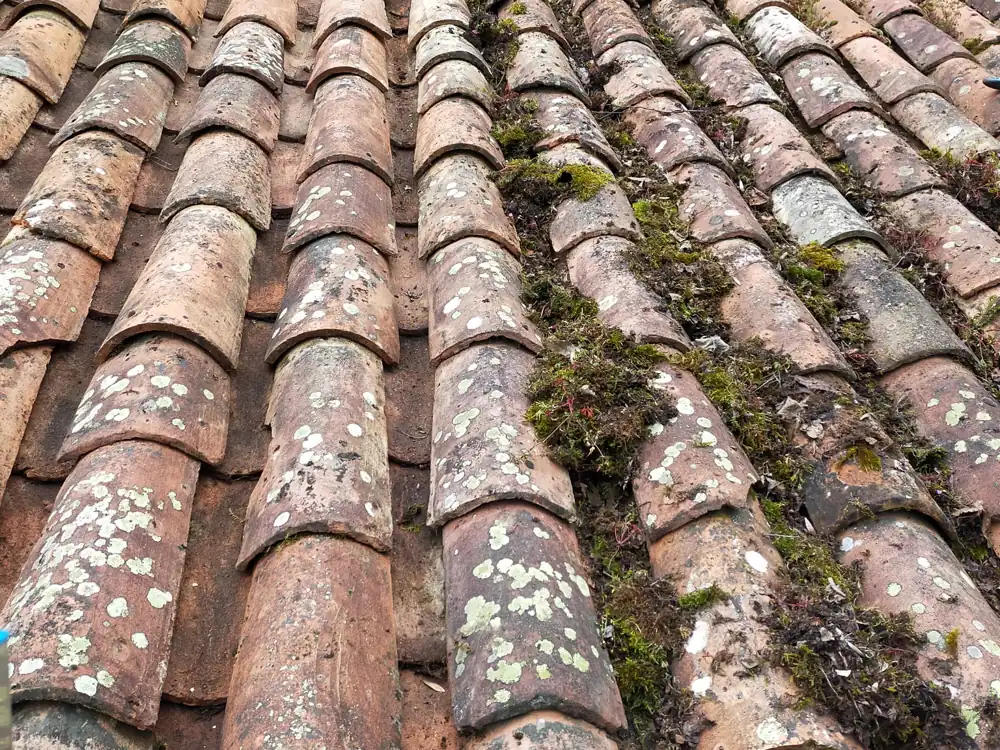 Toiture en tuiles canal envahie de mousse et de lichen, avant intervention